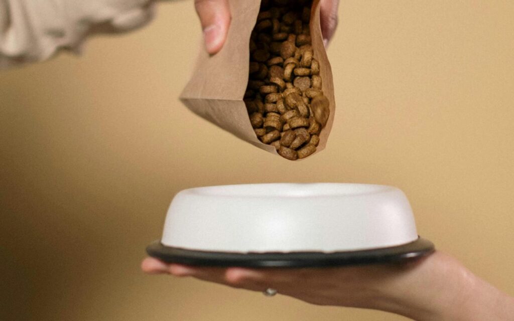 Sipanje granula za pse u činiju
